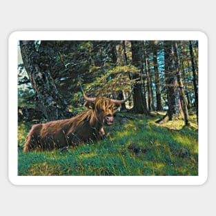 Highland Cow on Mull Sticker